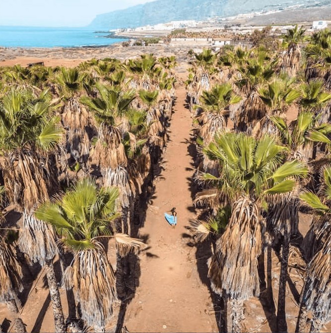 <strong>Playa De Alcalá, Tenerife</strong> by <a href='https://www.instagram.com/p/CKCDtOoIaiR/' target='_blank'><strong>@bemyplace</strong></a> on Instagram.